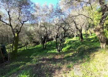 lu8.jpg - Villa Luni - foto 1