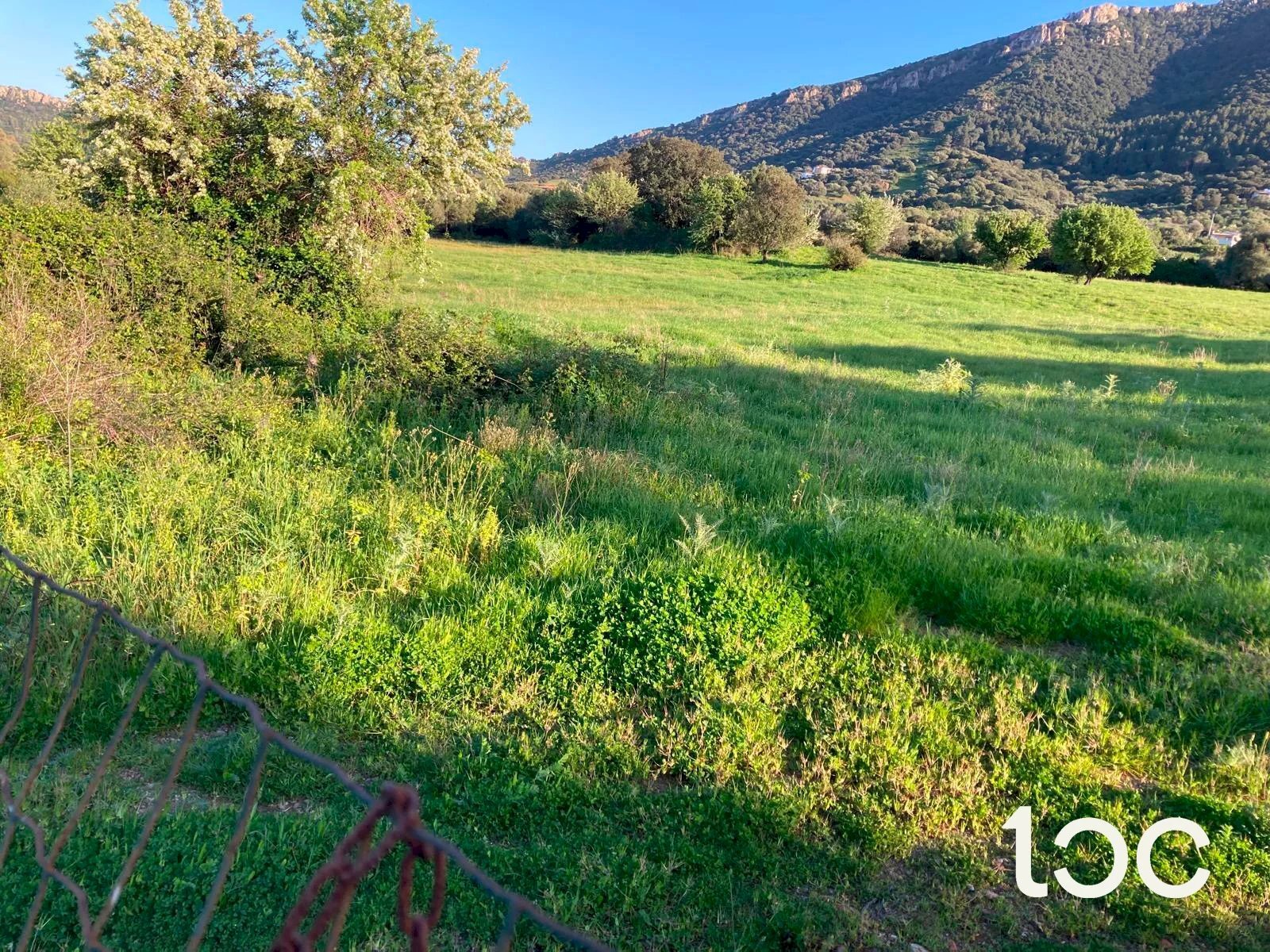 Agricultural land Torpè - photo 2