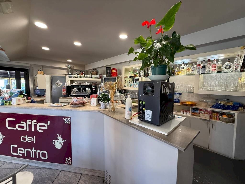 Bar Tavola Calda - Fredda Guarene - foto 2