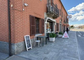 Bar Tavola Calda - Fredda Guarene - foto 4