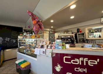 Bar Tavola Calda - Fredda Guarene - foto 8