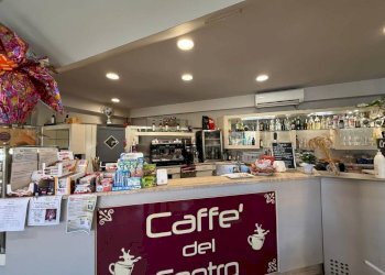 Bar Tavola Calda - Fredda Guarene - foto 9