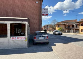 Bar Tavola Calda - Fredda Guarene - foto 21