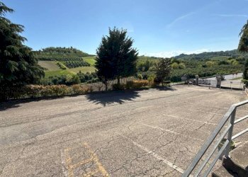 Restaurant Alba - photo 5