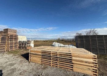 Capannone Carmagnola - foto 32