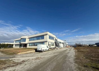 Capannone Moncalieri - foto 3