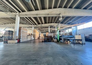 Capannone Moncalieri - foto 21