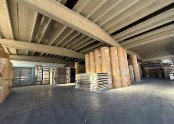 Capannone Moncalieri - foto 35