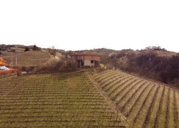 Rustico Neviglie - foto 11