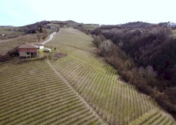 Rustico Neviglie - foto 17