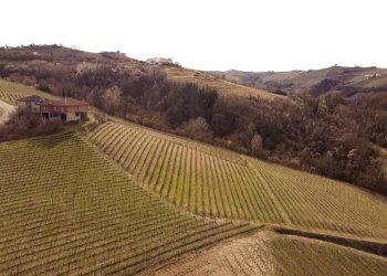 Rustico Neviglie - foto 13