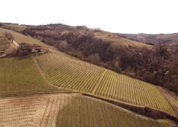 Rustico Neviglie - foto 14