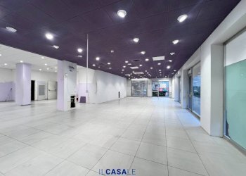 Negozio Alba - foto 5