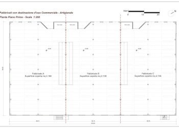 Capannone Alba - foto 3