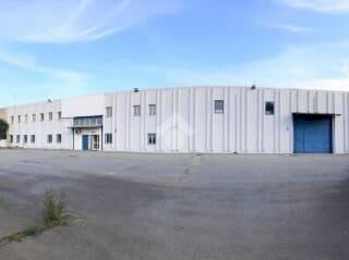 Capannone Alba - foto 1