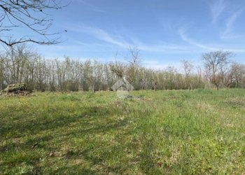 Apartment Strada scrapotti, Pozzolo Formigaro - photo 30