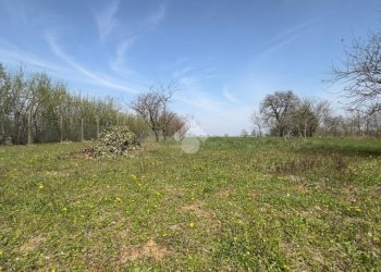 Apartment Strada scrapotti, Pozzolo Formigaro - photo 33