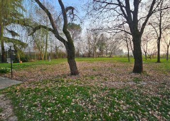 Porzione di casa Modena - foto 18