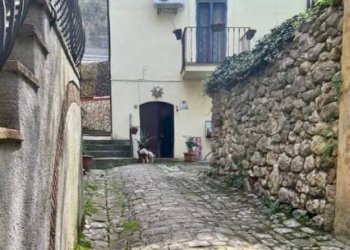 Cortile interno - Quadrilocale Narni - foto 2