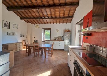 20251002_101404.jpg - Casale Strada di Siano, Amelia - foto 17