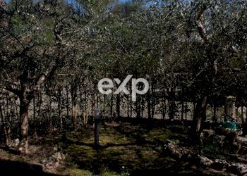 Villa Falciraga, Fano - foto 105