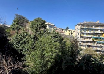 One-room apartment Savona (neighborhood Centro storico) - photo 9