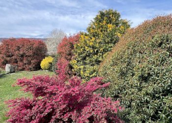 Villa Romano Canavese - foto 8