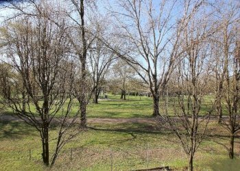 One-room apartment San Giovanni in Persiceto - photo 14