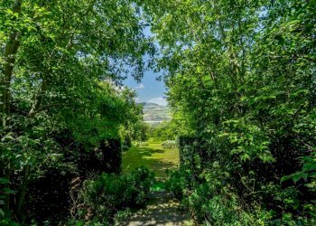 Villa Via Roma, Lesignano de' Bagni - photo 14