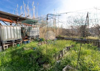 Casa semi indipendente Via briccarello, Cortazzone - foto 33