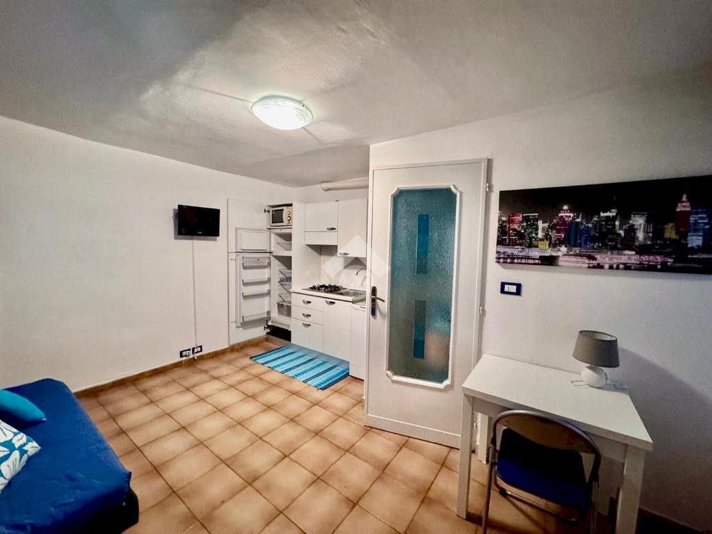 Monolocale Via Madama Cristina, Torino (zona San Salvario) - foto 2