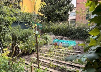 Villa Via Piana, Bologna (neighborhood San Donato) - photo 6