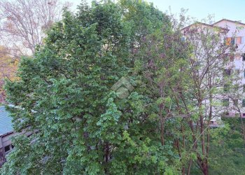 Trilocale Via Pio Carlo Falletti, Bologna (zona San Donato) - foto 14