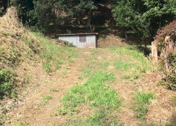 Foto 5 - Terreno edificabile Via Siliqua, Fiumicino - foto 5