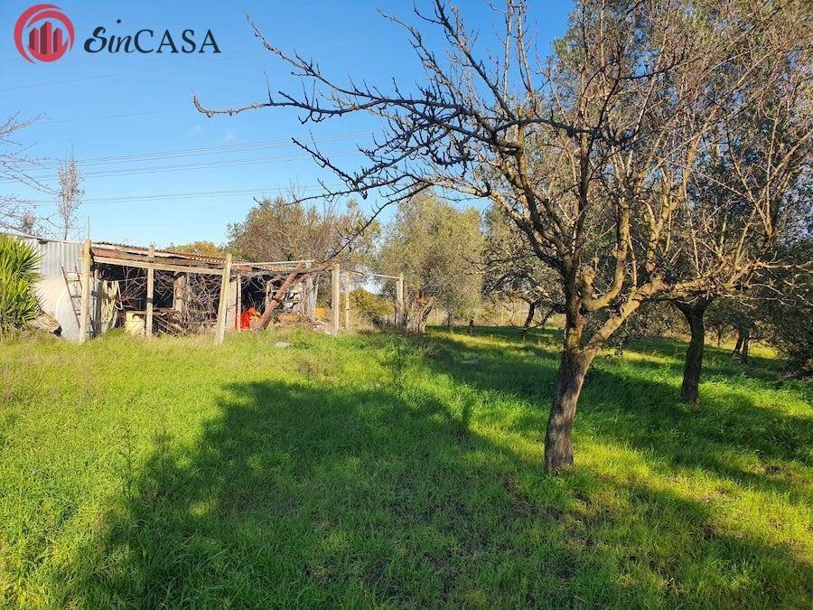 Foto 2 - Terreno agricolo Via Del Casale di Sant'angelo, Fiumicino - foto 2