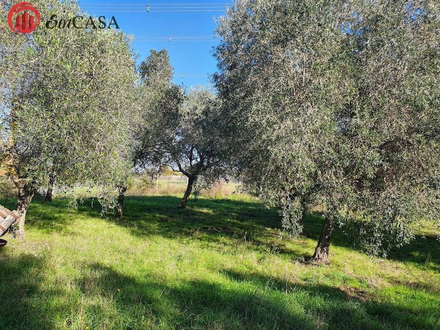 Foto 3 - Terreno agricolo Via Del Casale di Sant'angelo, Fiumicino - foto 3