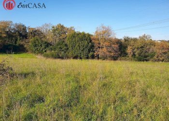 Foto 1 - Terreno agricolo Via Del Casale di Sant'angelo, Fiumicino - foto 1