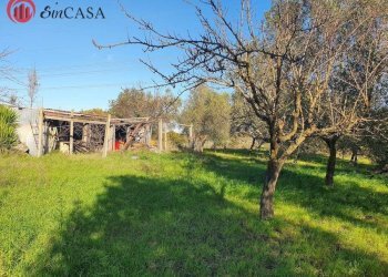 Foto 2 - Terreno agricolo Via Del Casale di Sant'angelo, Fiumicino - foto 2