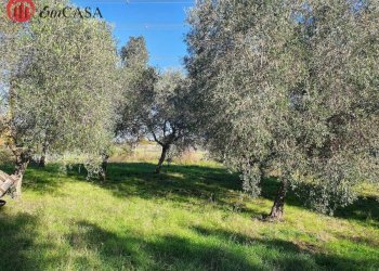 Foto 3 - Terreno agricolo Via Del Casale di Sant'angelo, Fiumicino - foto 3