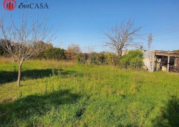 Foto 4 - Terreno agricolo Via Del Casale di Sant'angelo, Fiumicino - foto 4