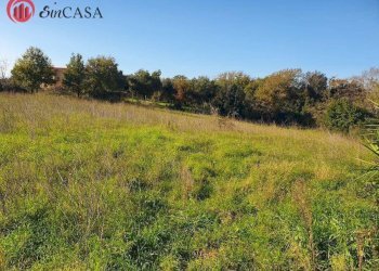 Foto 5 - Terreno agricolo Via Del Casale di Sant'angelo, Fiumicino - foto 5