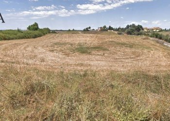 Foto 2 - Agricultural land Via Augusto Persichetti, Roma - photo 2