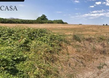 Foto 3 - Agricultural land Via Augusto Persichetti, Roma - photo 3