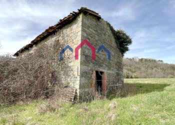 Foto 13 - Rustico Castiglione di Garfagnana - foto 13