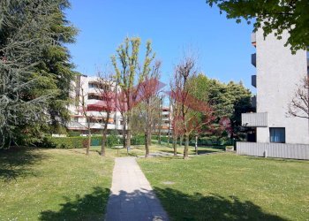 Foto 50 - Two-room apartment VIA PETRARCA
 
5, Saronno - photo 50