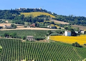 Foto 4 - Casa indipendente Contrada Sant'Anna
 
16, Monte Rinaldo - foto 4