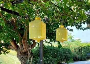 Foto 5 - Casa indipendente Contrada Sant'Anna
 
16, Monte Rinaldo - foto 5