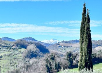 Foto 32 - Casa indipendente Contrada Sant'Anna
 
16, Monte Rinaldo - foto 32