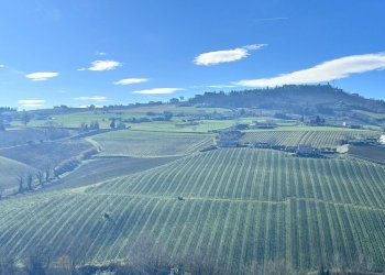 Foto 34 - Casa indipendente Contrada Sant'Anna
 
16, Monte Rinaldo - foto 34