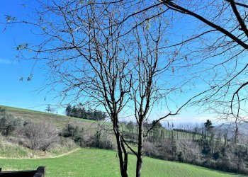 Foto 39 - Casa indipendente Contrada Sant'Anna
 
16, Monte Rinaldo - foto 39